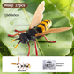 🎁Świąteczna Wyprzedaż -50%🐞 Gry dla dzieci polegające na montażu owadów i zwierząt