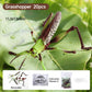 🎁Świąteczna Wyprzedaż -50%🐞 Gry dla dzieci polegające na montażu owadów i zwierząt