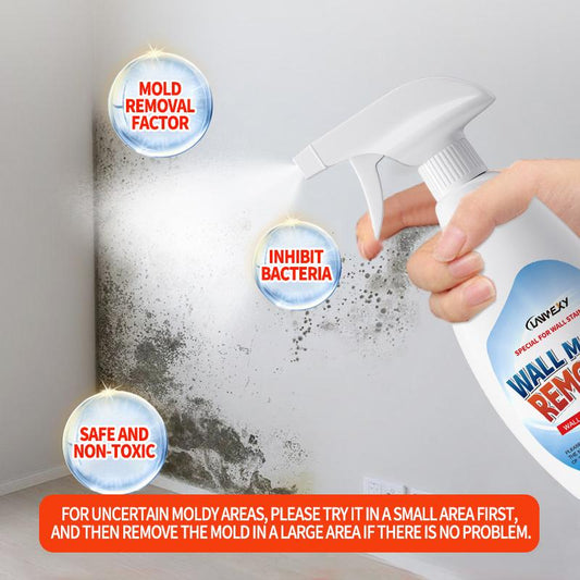 💫Chroń zdrowie swojej rodziny — wysokowydajny spray do usuwania pleśni