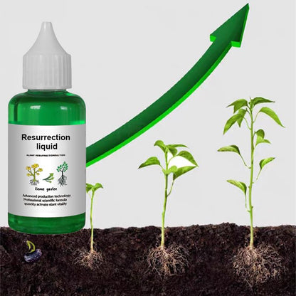 🌿Botaniczny aktywator – przywraca witalność roślinom!
