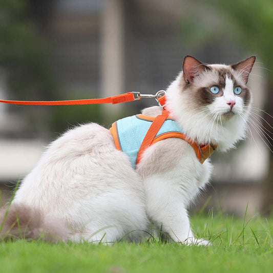 🐱Odblaskowa uprząż i smycz dla kota zapobiegające ucieczce✨