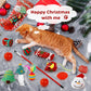 🎄🎁Kalendarz adwentowy z zabawkami dla kotów i psów – odliczanie do Bożego Narodzenia 2025🐾🥳