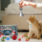 🎄🎁Kalendarz adwentowy z zabawkami dla kotów i psów – odliczanie do Bożego Narodzenia 2025🐾🥳