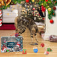 🎄🎁Kalendarz adwentowy z zabawkami dla kotów i psów – odliczanie do Bożego Narodzenia 2025🐾🥳