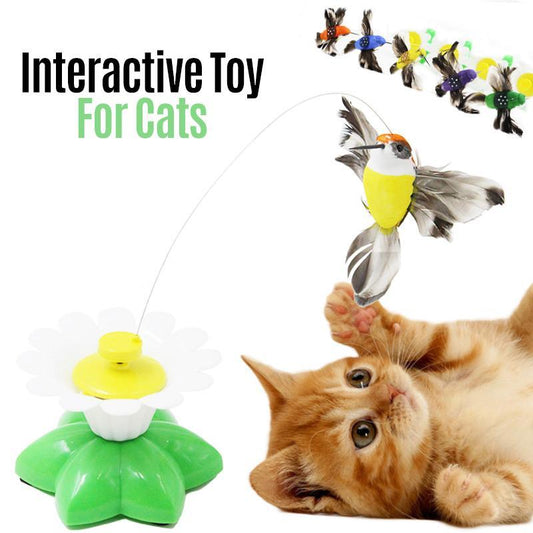 Lnteraktywna zabawka dla ptaków dla kotów