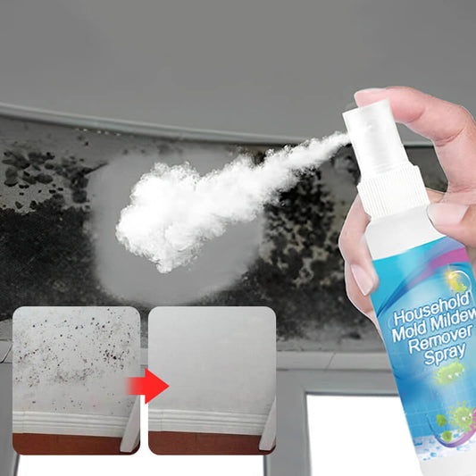 Spray do usuwania pleśni